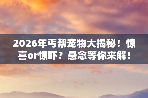 2026年丐帮宠物大揭秘!惊喜or惊吓?悬念等你来解! 2026年丐帮宠物大揭秘!惊喜or惊吓?悬念等你来解!