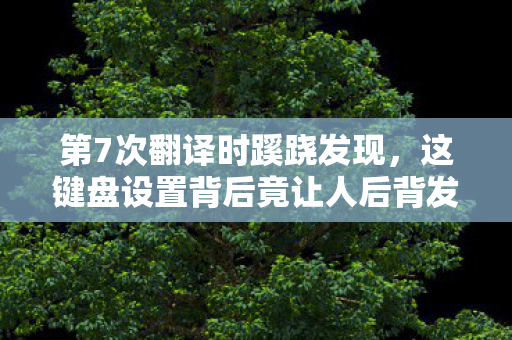 第7次翻译时蹊跷发现,这键盘设置背后竟让人后背发凉! 第7次翻译时蹊跷发现,这键盘设置背后竟让人后背发凉!