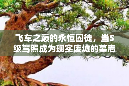 飞车之巅的永恒囚徒,当S级驾照成为现实废墟的墓志铭 飞车之巅的永恒囚徒,当S级驾照成为现实废墟的墓志铭