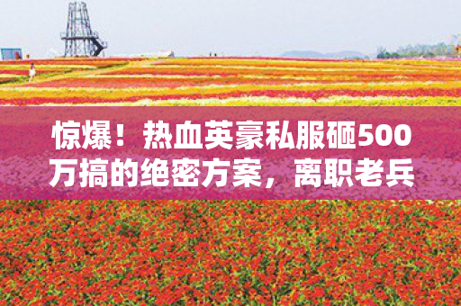惊爆!热血英豪私服砸500万搞的绝密方案,离职老兵掀桌抖出惊天内幕! 惊爆!热血英豪私服砸500万搞的绝密方案,离职老兵掀桌抖出惊天内幕!