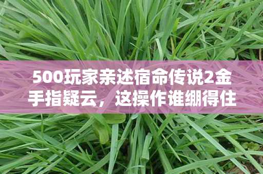 500玩家亲述宿命传说2金手指疑云,这操作谁绷得住啊! 500玩家亲述宿命传说2金手指疑云,这操作谁绷得住啊!