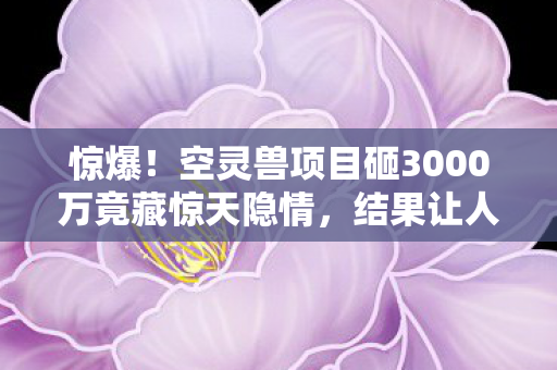 惊爆!空灵兽项目砸3000万竟藏惊天隐情,结果让人吓一跳! 惊爆!空灵兽项目砸3000万竟藏惊天隐情,结果让人吓一跳!