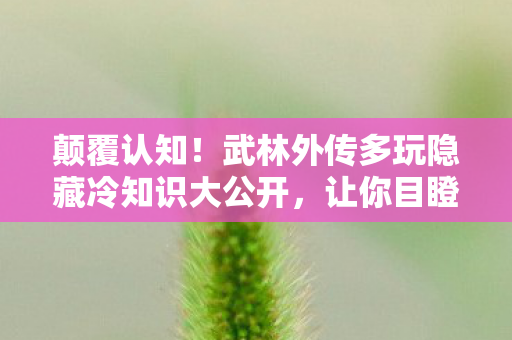 颠覆认知!武林外传多玩隐藏冷知识大公开,让你目瞪口呆! 颠覆认知!武林外传多玩隐藏冷知识大公开,让你目瞪口呆!