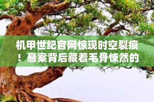 机甲世纪官网惊现时空裂痕!悬案背后藏着毛骨悚然的玩家集体失踪事件 机甲世纪官网惊现时空裂痕!悬案背后藏着毛骨悚然的玩家集体失踪事件