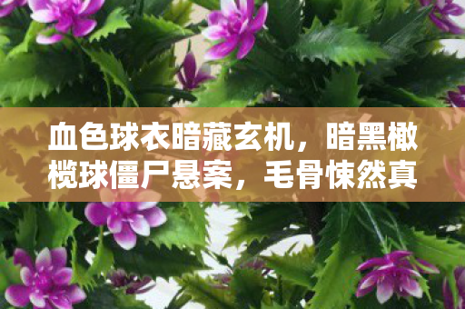 血色球衣暗藏玄机，暗黑橄榄球僵尸悬案，毛骨悚然真相待揭！