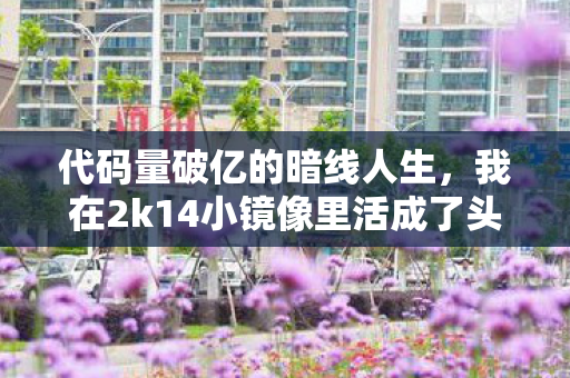 代码量破亿的暗线人生,我在2k14小镜像里活成了头皮发麻的NPC 代码量破亿的暗线人生,我在2k14小镜像里活成了头皮发麻的NPC