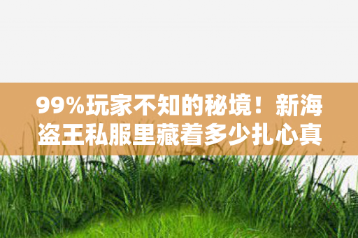 99%玩家不知的秘境!新海盗王私服里藏着多少扎心真相? 99%玩家不知的秘境!新海盗王私服里藏着多少扎心真相?