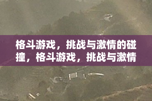 格斗游戏，挑战与激情的碰撞，格斗游戏，挑战与激情的碰撞