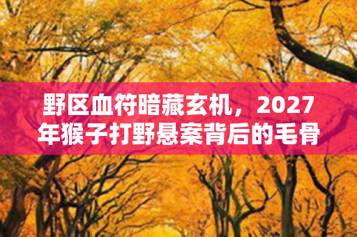 野区血符暗藏玄机，2027年猴子打野悬案背后的毛骨悚然真相