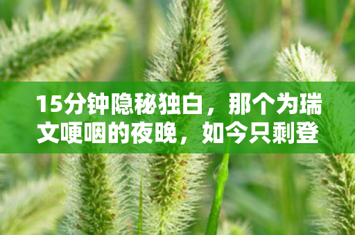 如今只剩登录界面在呼吸图片