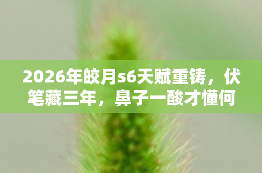 2026年皎月s6天赋重铸,伏笔藏三年,鼻子一酸才懂何为等你 2026年皎月s6天赋重铸,伏笔藏三年,鼻子一酸才懂何为等你