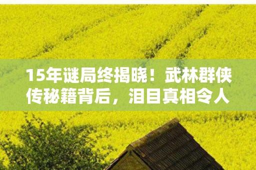 15年谜局终揭晓！武林群侠传秘籍背后，泪目真相令人唏嘘