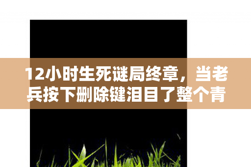12小时生死谜局终章，当老兵按下删除键泪目了整个青春