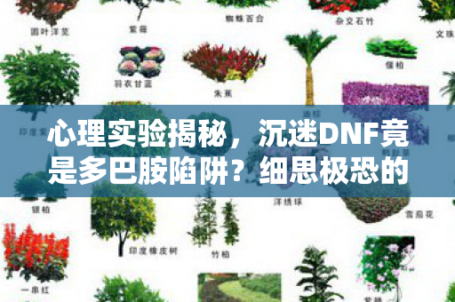 心理实验揭秘，沉迷DNF竟是多巴胺陷阱？细思极恐的脑手术现场
