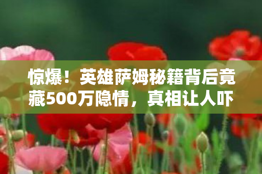 惊爆!英雄萨姆秘籍背后竟藏500万隐情,真相让人吓一跳! 惊爆!英雄萨姆秘籍背后竟藏500万隐情,真相让人吓一跳!