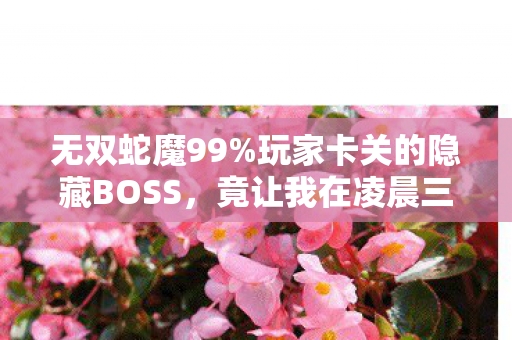 无双蛇魔99%玩家卡关的隐藏BOSS，竟让我在凌晨三点哭到手柄脱手！