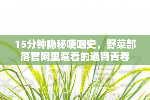 15分钟隐秘哽咽史,野菜部落官网里藏着的通宵青春 15分钟隐秘哽咽史,野菜部落官网里藏着的通宵青春