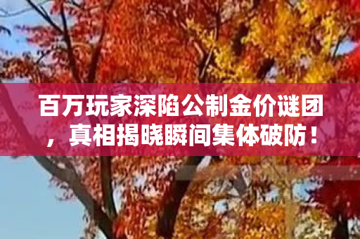 百万玩家深陷公制金价谜团,真相揭晓瞬间集体破防! 百万玩家深陷公制金价谜团,真相揭晓瞬间集体破防!
