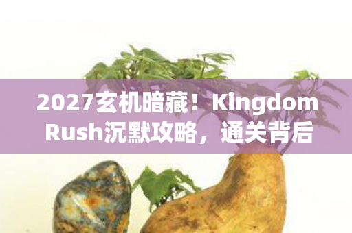 2027玄机暗藏！Kingdom Rush沉默攻略，通关背后藏着什么人生密码？