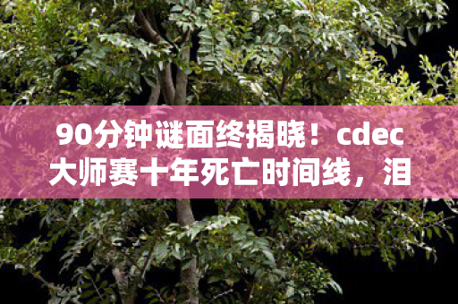 90分钟谜面终揭晓!cdec大师赛十年死亡时间线,泪目真相在此 90分钟谜面终揭晓!cdec大师赛十年死亡时间线,泪目真相在此