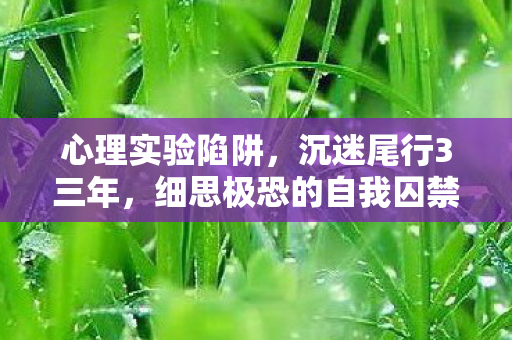 心理实验陷阱，沉迷尾行3三年，细思极恐的自我囚禁