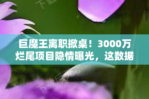 巨魔王离职掀桌!3000万烂尾项目隐情曝光,这数据让人吓一跳! 巨魔王离职掀桌!3000万烂尾项目隐情曝光,这数据让人吓一跳!