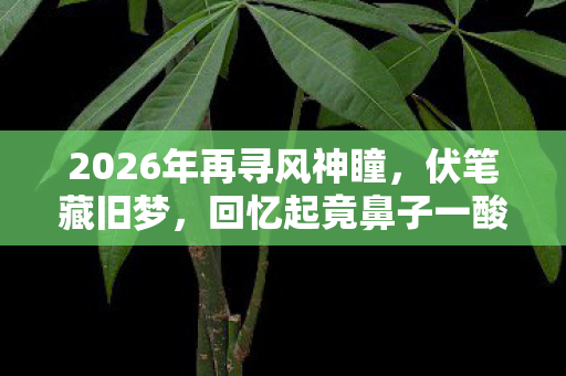 2026年再寻风神瞳，伏笔藏旧梦，回忆起竟鼻子一酸