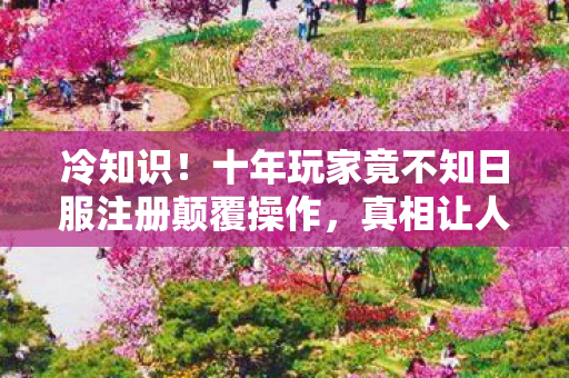 十年玩家竟不知日服注册颠覆操作图片