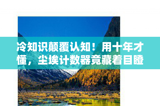 冷知识颠覆认知！用十年才懂，尘埃计数器竟藏着目瞪口呆的真相