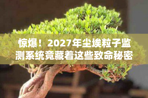 惊爆！2027年尘埃粒子监测系统竟藏着这些致命秘密？