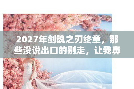 2027年剑魂之刃终章,那些没说出口的别走,让我鼻子一酸 2027年剑魂之刃终章,那些没说出口的别走,让我鼻子一酸