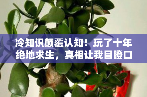 玩了十年绝地求生图片