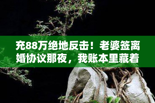 充88万绝地反击!老婆签离婚协议那夜,我账本里藏着吓一跳的秘密 充88万绝地反击!老婆签离婚协议那夜,我账本里藏着吓一跳的秘密