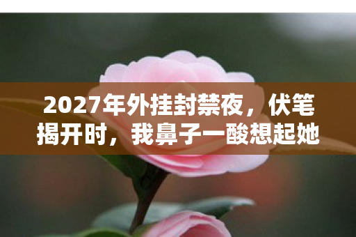 2027年外挂封禁夜,伏笔揭开时,我鼻子一酸想起她 2027年外挂封禁夜,伏笔揭开时,我鼻子一酸想起她