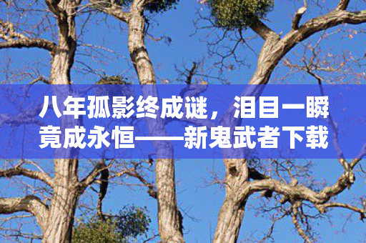 八年孤影终成谜,泪目一瞬竟成永恒——新鬼武者下载倒计时 八年孤影终成谜,泪目一瞬竟成永恒——新鬼武者下载倒计时