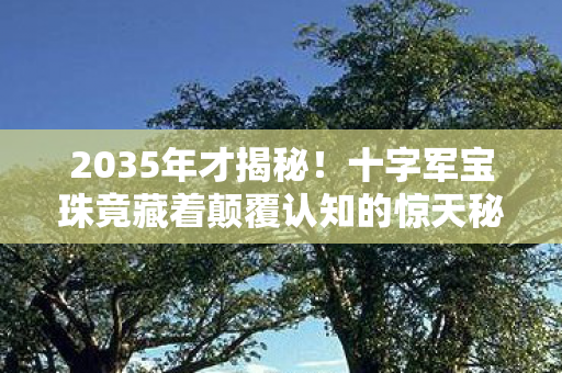 2035年才揭秘!十字军宝珠竟藏着颠覆认知的惊天秘密? 2035年才揭秘!十字军宝珠竟藏着颠覆认知的惊天秘密?