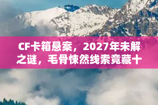 CF卡箱悬案,2027年未解之谜,毛骨悚然线索竟藏十年 CF卡箱悬案,2027年未解之谜,毛骨悚然线索竟藏十年