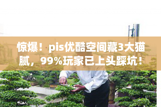 惊爆!pis优酷空间藏3大猫腻,99%玩家已上头踩坑! 惊爆!pis优酷空间藏3大猫腻,99%玩家已上头踩坑!