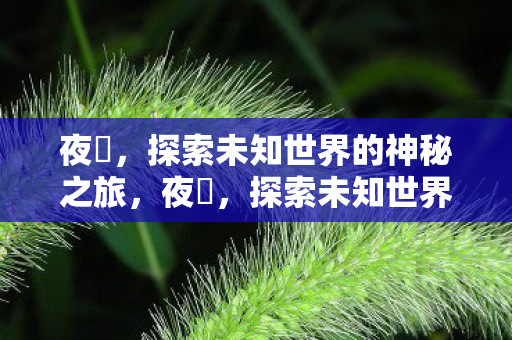 夜廻,探索未知世界的神秘之旅,夜廻,探索未知世界的神秘之旅 夜廻,探索未知世界的神秘之旅,夜廻,探索未知世界的神秘之旅
