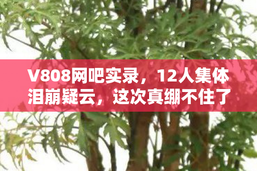 V808网吧实录,12人集体泪崩疑云,这次真绷不住了! V808网吧实录,12人集体泪崩疑云,这次真绷不住了!