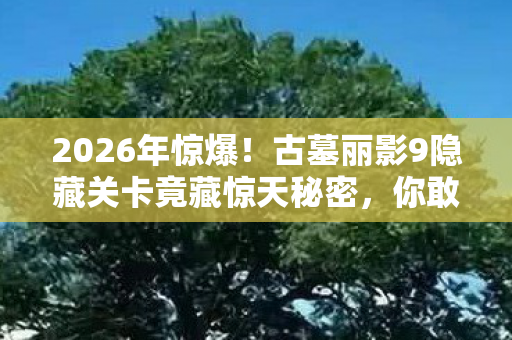 2026年惊爆!古墓丽影9隐藏关卡竟藏惊天秘密,你敢挑战吗? 2026年惊爆!古墓丽影9隐藏关卡竟藏惊天秘密,你敢挑战吗?
