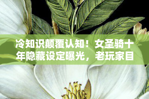冷知识颠覆认知！女圣骑十年隐藏设定曝光，老玩家目瞪口呆