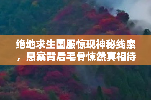 绝地求生国服惊现神秘线索，悬案背后毛骨悚然真相待解！