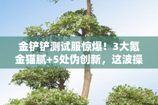 金铲铲测试服惊爆！3大氪金猫腻+5处伪创新，这波操作让人直呼上头