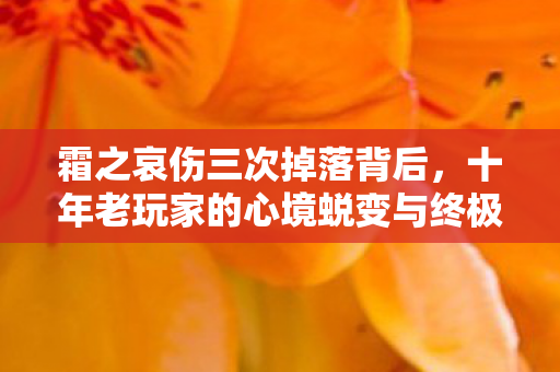 霜之哀伤三次掉落背后,十年老玩家的心境蜕变与终极真相 霜之哀伤三次掉落背后,十年老玩家的心境蜕变与终极真相