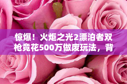 惊爆!火炬之光2漂泊者双枪竟花500万做废玩法,背后隐情吓一跳! 惊爆!火炬之光2漂泊者双枪竟花500万做废玩法,背后隐情吓一跳!