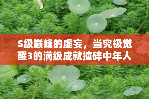 S级巅峰的虚妄，当究极觉醒3的满级成就撞碎中年人生的终极悖论