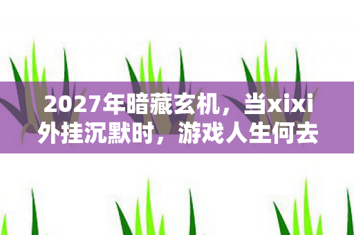 2027年暗藏玄机，当xixi外挂沉默时，游戏人生何去何从？