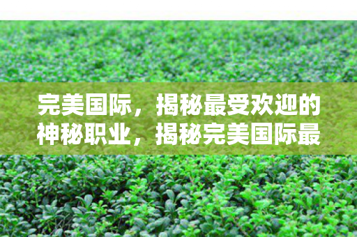 完美国际,揭秘最受欢迎的神秘职业,揭秘完美国际最受欢迎的神秘职业,掌握核心技能,成就传奇之路! 完美国际,揭秘最受欢迎的神秘职业,揭秘完美国际最受欢迎的神秘职业,掌握核心技能,成就传奇之路!