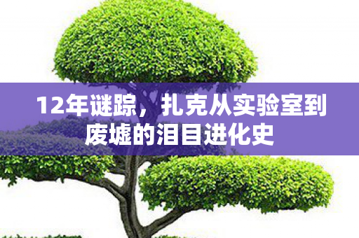 12年谜踪,扎克从实验室到废墟的泪目进化史 12年谜踪,扎克从实验室到废墟的泪目进化史